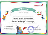 Мой педагогический опыт 2024