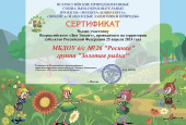 Мой педагогический опыт 2024