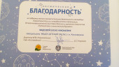 2023 год
