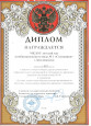2011-2015 год