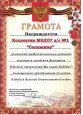 2011-2015 год