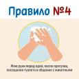 "Санитарный щит страны - безопасность для здоровья"