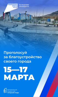 Проголосуй за благоустройство города