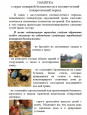 "Пожарная безопасность в весенний период"