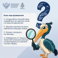 ? Весна – время вспомнить о безопасном поведении вблизи водоемов!  В период таяния льда следует быть особенно осторожными. 