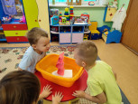 Экспериментируем с живой и неживой природой 