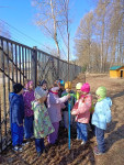 В гости к природе