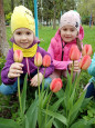 Весна,  цветы