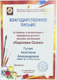 Портфолио достижений 