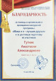 Портфолио достижений 