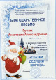 Портфолио достижений 