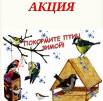 Акция "Покорми птиц зимой"
