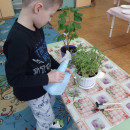 Неделя доброты