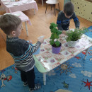 Неделя доброты