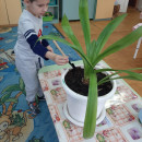 Неделя доброты