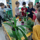 Всемирный День благодарности комнатным растениям
