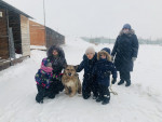 В гостях центра помощи бездомным животным "Переправа"