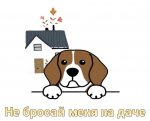 Акция "Не бросай меня на даче"