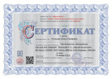 Участие в семинарах, вебинарах, конференциях,форумах