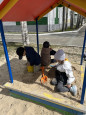 Наши летние прогулки