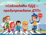 Профилактической акция «Безопасность на дорогах начинается с семьи» 