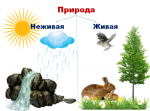 Живая и неживая природа