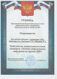 Победитель дошкольного этапа "Лучшая виртуальная экскурсия в ДОУ"