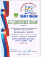 Мои достижения 