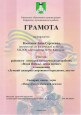 Мои достижения 
