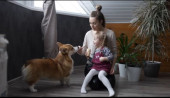 Проект " Домашние животные"
