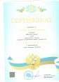 Вебинары, семинары, конференции