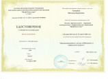 Непрерывность профессионального развития