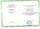 Непрерывность профессионального развития