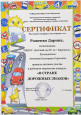 Достижения воспитанников 2023-2025 гг..