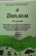 Профессионально-общественная активность 