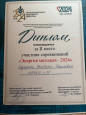 Наличие отмеченных профессиональных достижений 