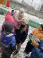 Тематическая прогулка на метеоплощадке "Наблюдаем за природой"