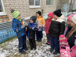 Тематическая прогулка на метеоплощадке "Наблюдаем за природой"