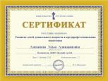 Мои достижения (Вебинары)