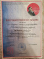 Мои достижения (Благодарственные письма)