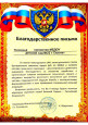 Взаимодействие с социальными партнёрами 