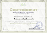 Экспертная деятельность 