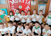 Экологический турнир "Эколята- дошколята"