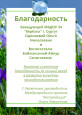 Достижения педагога, участие в профессиональных конкурсах 