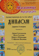 Мои достижения, благодарности 