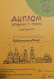 Мои достижения, благодарности 