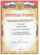 Мои профессиональные достижения 