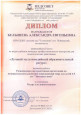 Мои профессиональные достижения 
