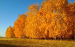 Осень в родном краю