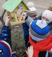 Кормим птиц зимой